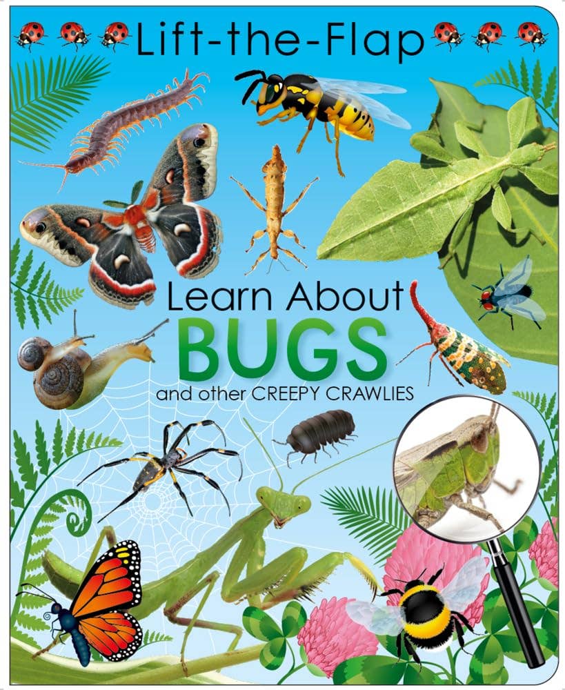 Lift The Flap Learn About Bugs And Other Creepy Crawlies Book