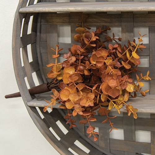 Harvest Baby Eucalyptus Bush - Soft Touch