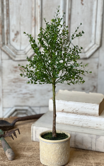 Yardley Topiary - 23"