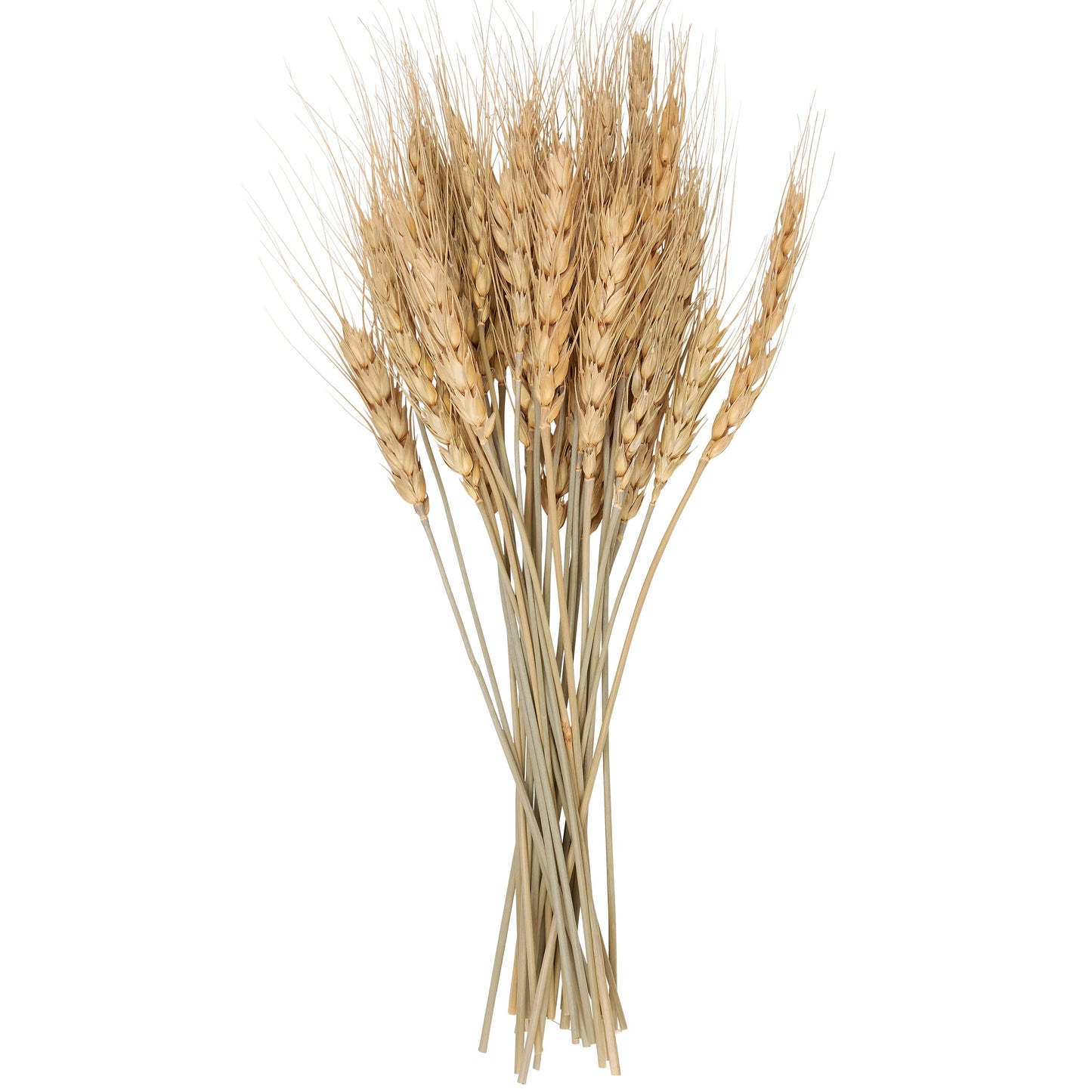 Wheat Bundle Bouquet