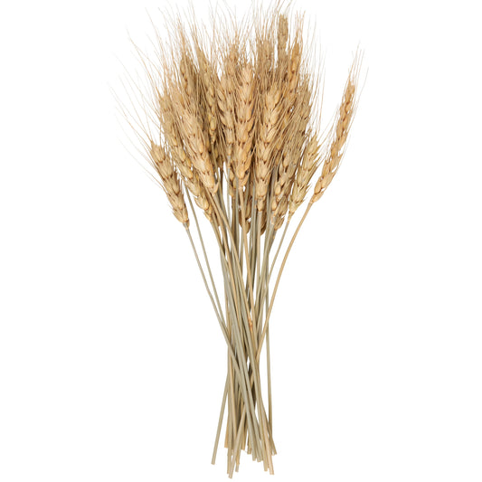 Wheat Bundle Bouquet
