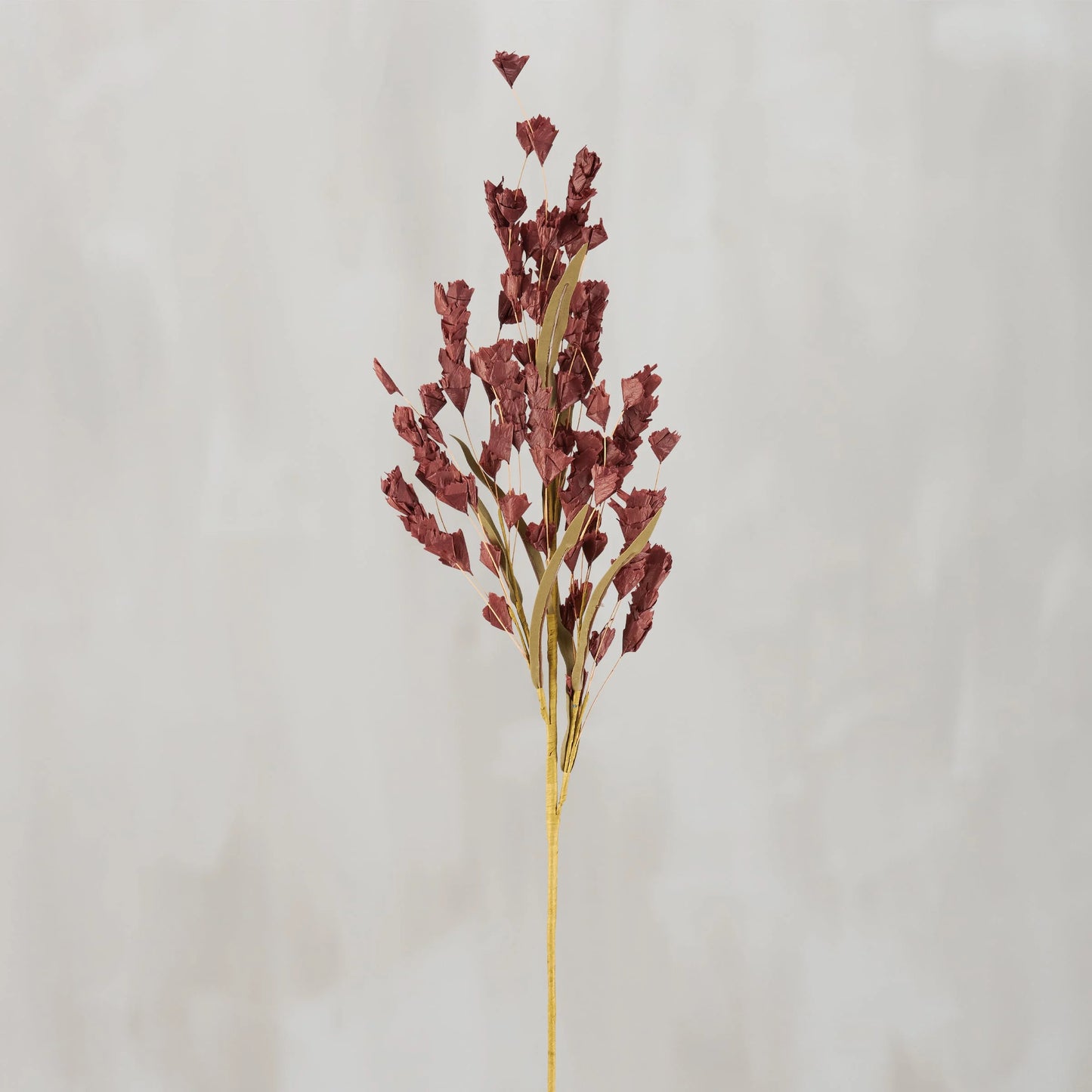 Burgundy Buds Floral Stem