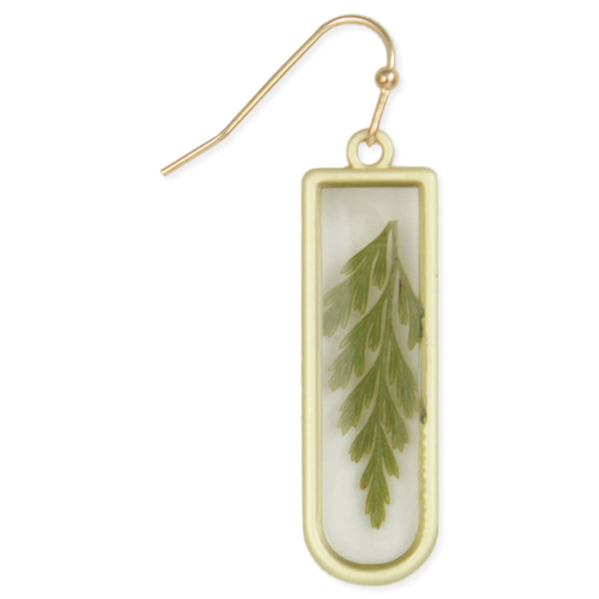 Gold Bar Green Dried Flower Fern Earrings
