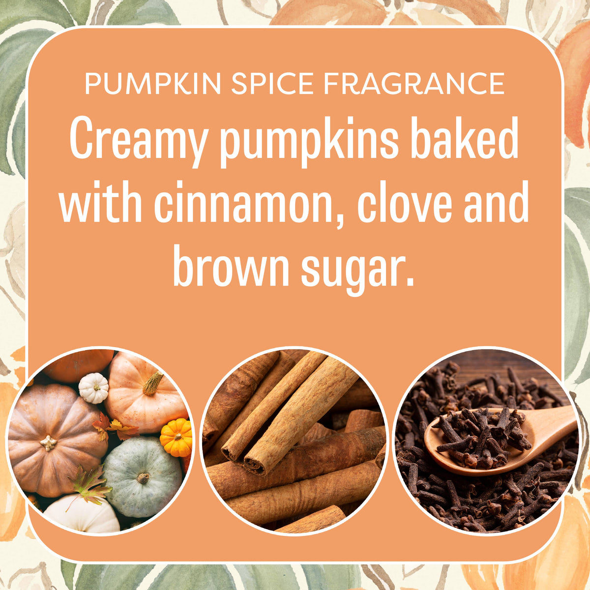 Spiced Pumpkin Scented Sachet - Fresh Scents