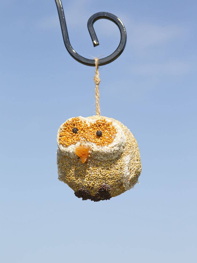 Woodland Friends Bird Treats - Fox, Owl or Raccoon