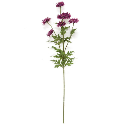 Strawflower Spray 25" - 4 Color Options