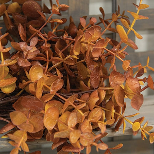 Harvest Baby Eucalyptus Bush - Soft Touch