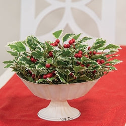 Mini Holly Leaves & Berries Half Sphere - 10"