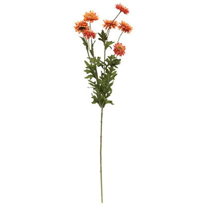 Strawflower Spray 25" - 4 Color Options