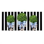 Boxwood Topiary - Evergreen Sassafras Switch Mat Doormat Insert