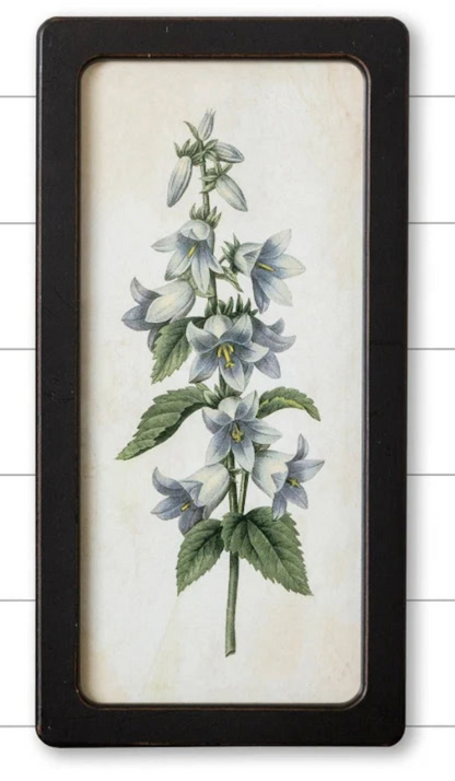 Bluebells And Forget-Me-Nots Framed Prints - 2 Options