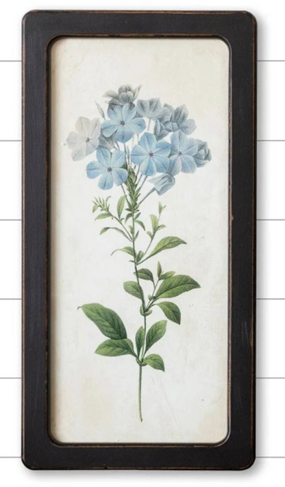 Bluebells And Forget-Me-Nots Framed Prints - 2 Options