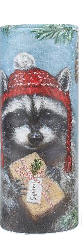 Winter Woodland Tissue Box, Great for Your Car Cup Holder - Raccon or Cardinal