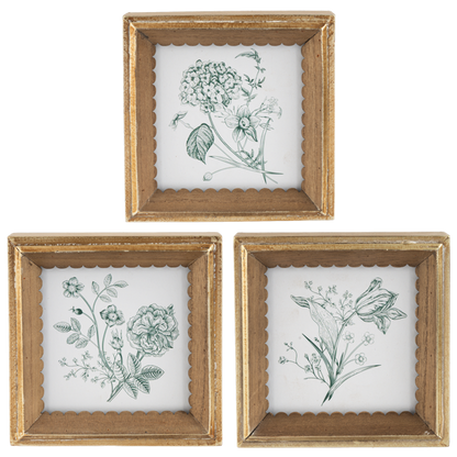 Botanical Framed Print Mini - 3 Options