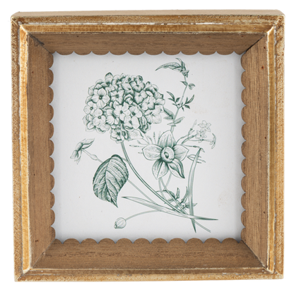 Botanical Framed Print Mini - 3 Options