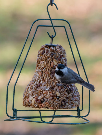 Mr. Bird Bugs, Nuts & Fruit Birdseed Bell