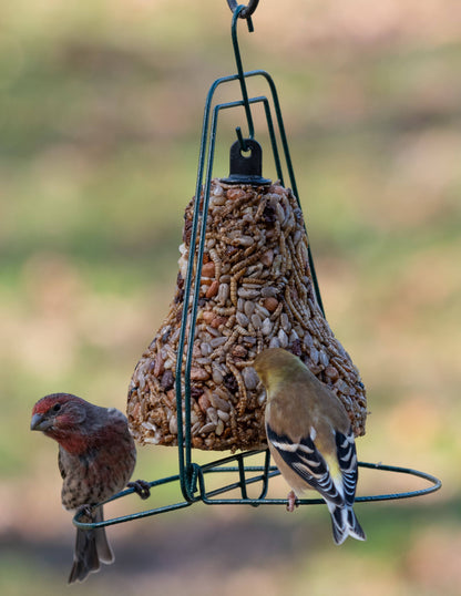 Mr. Bird Bugs, Nuts & Fruit Birdseed Bell