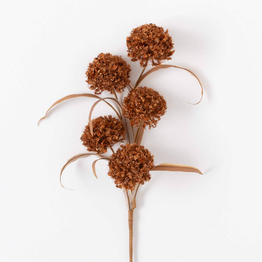 Rusty Brown Allium Bush - 24"