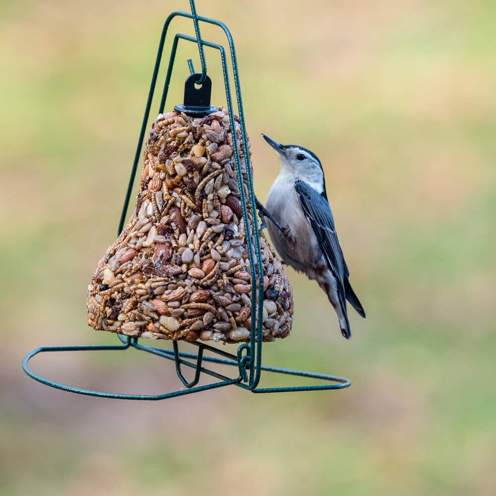 Mr. Bird Bugs, Nuts & Fruit Birdseed Bell